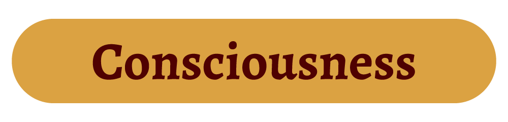 7 Consciousness